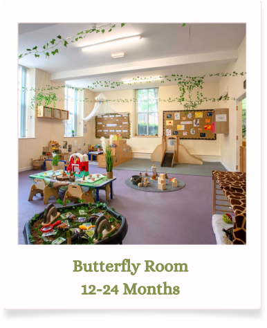 butterfly room - nursery in Saddleworth